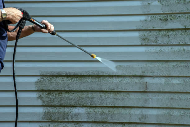Best Power Washing Near Me  in Houghton, MI